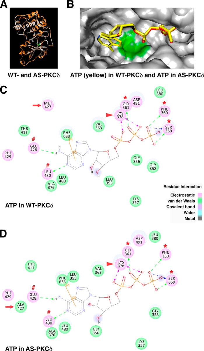 FIGURE 7.