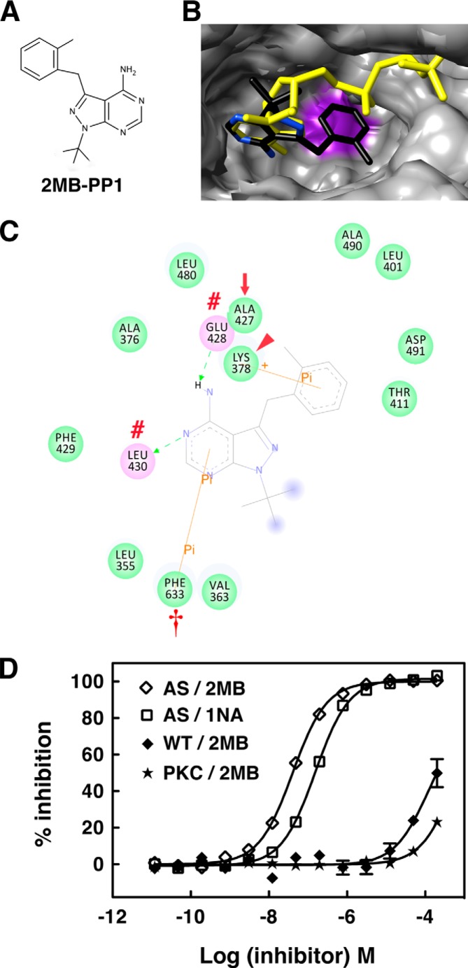 FIGURE 12.