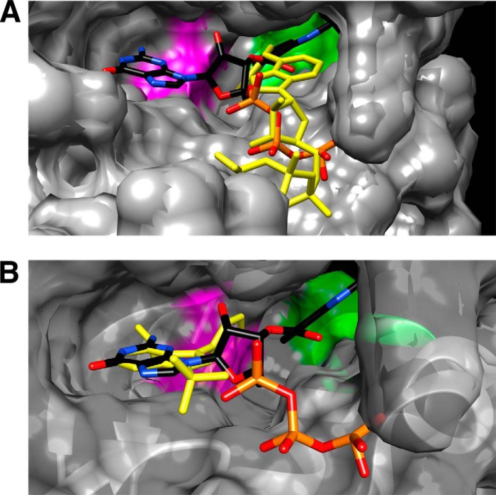 FIGURE 13.