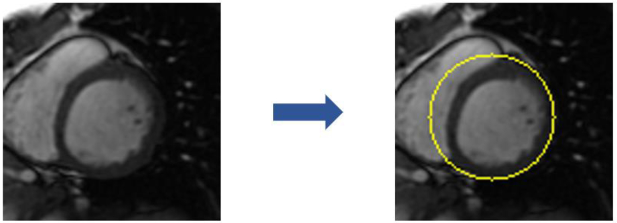 Figure 5: