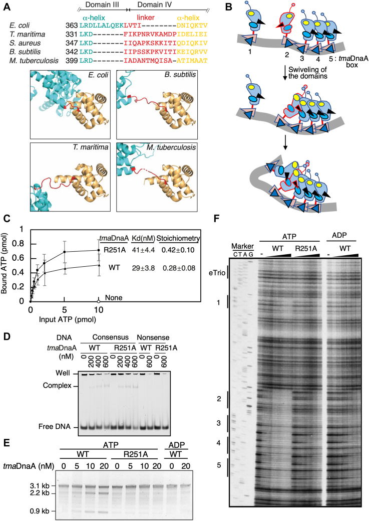 Figure 6