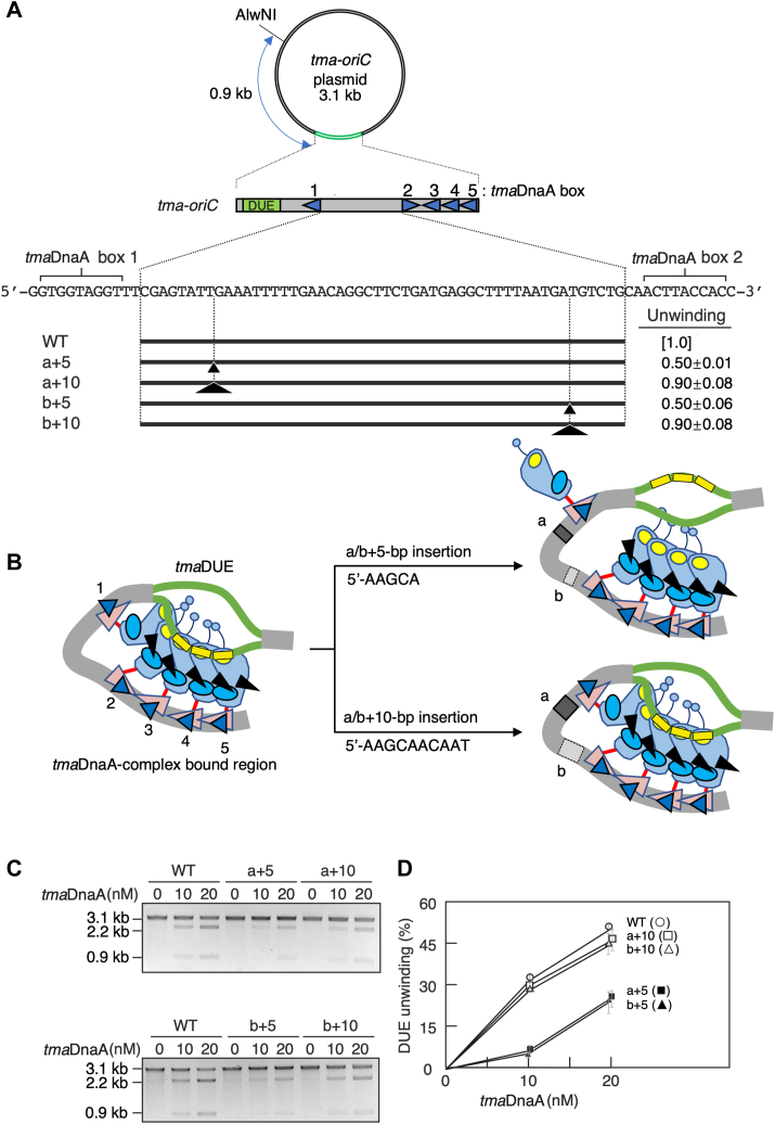 Figure 5