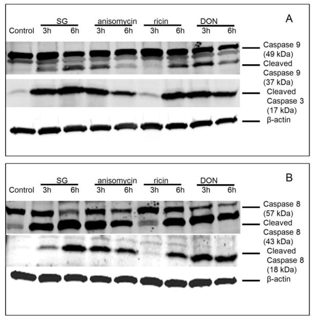 FIG. 7