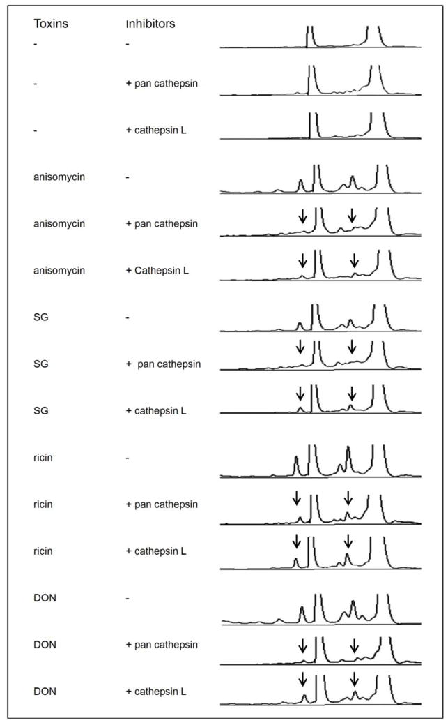 FIG. 9