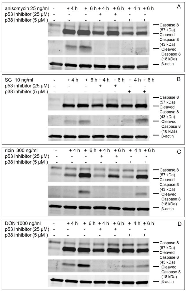 Fig. 8