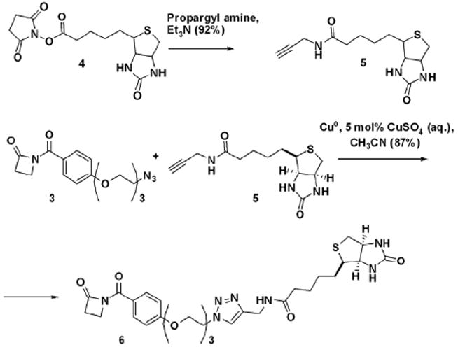 Scheme 3