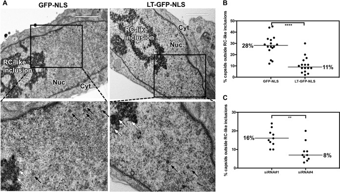 FIG 8