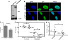 FIG 7