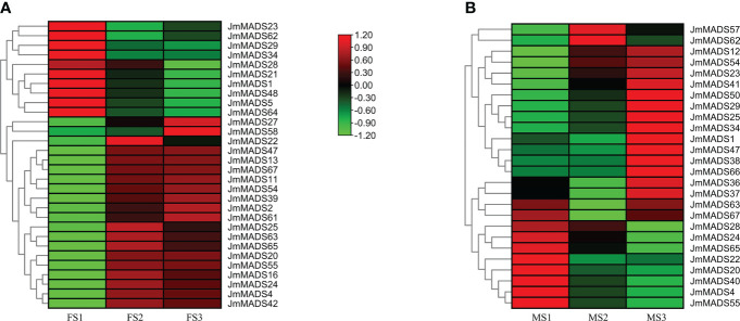 Figure 6