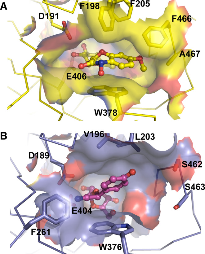 Fig. 4