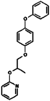 graphic file with name 40203_2024_229_Figr_HTML.gif