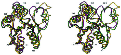 FIG. 5.