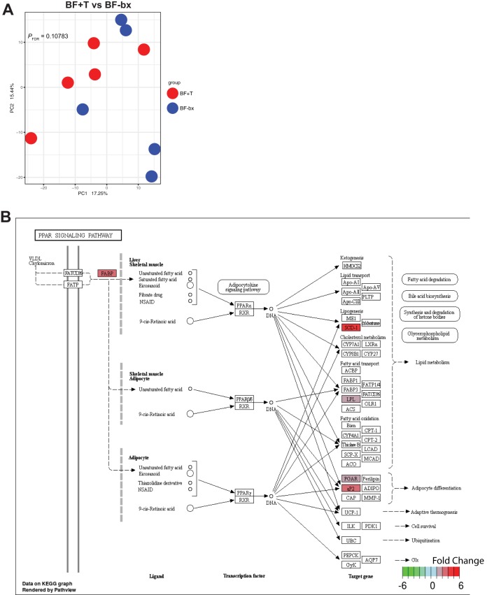 FIG 2