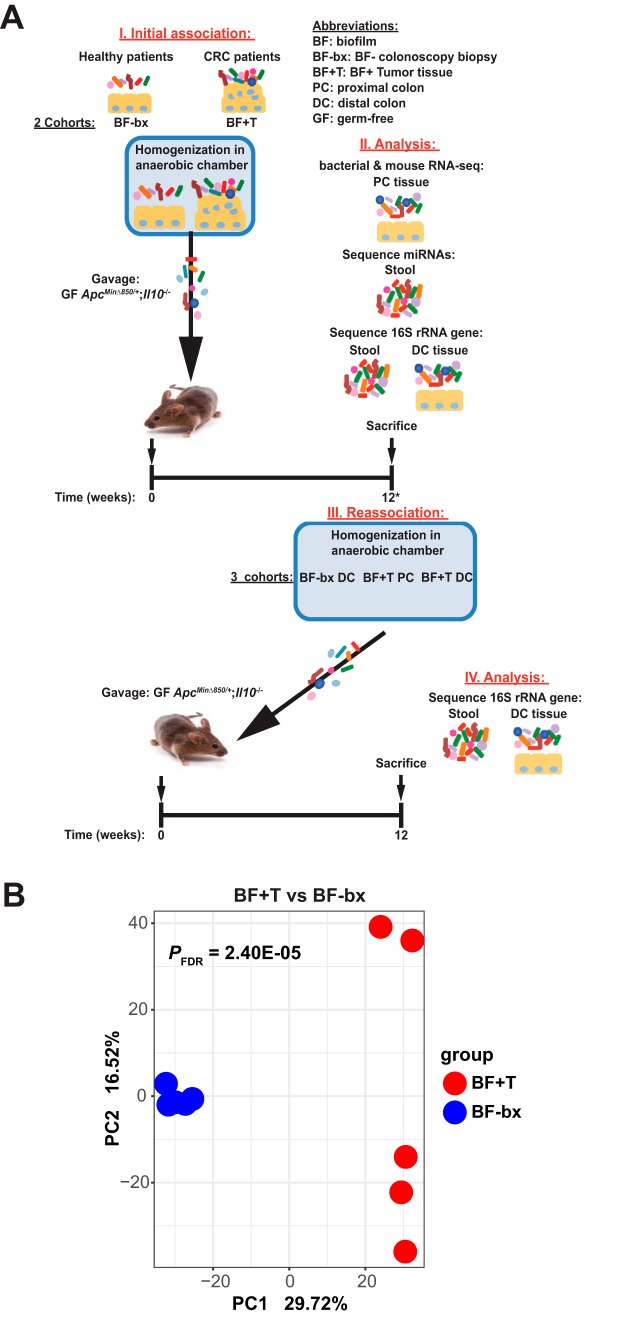 FIG 1