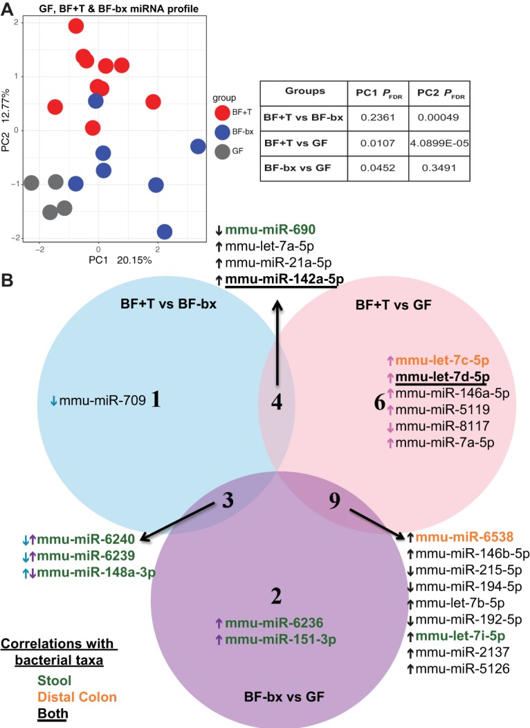 FIG 3