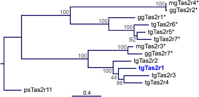 FIGURE 1