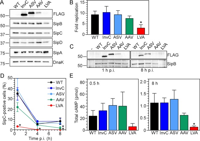 FIG 2 