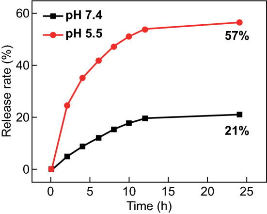 Fig. 3