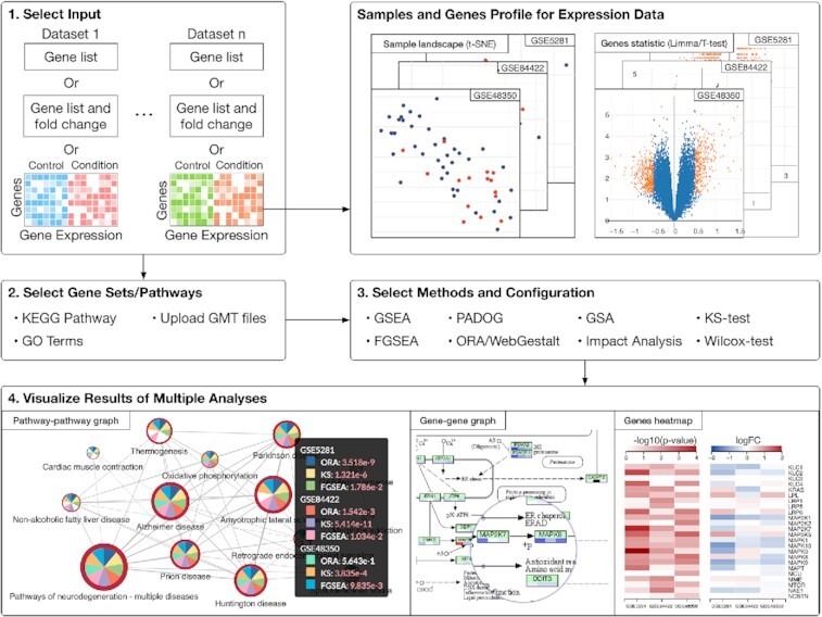 Graphical Abstract