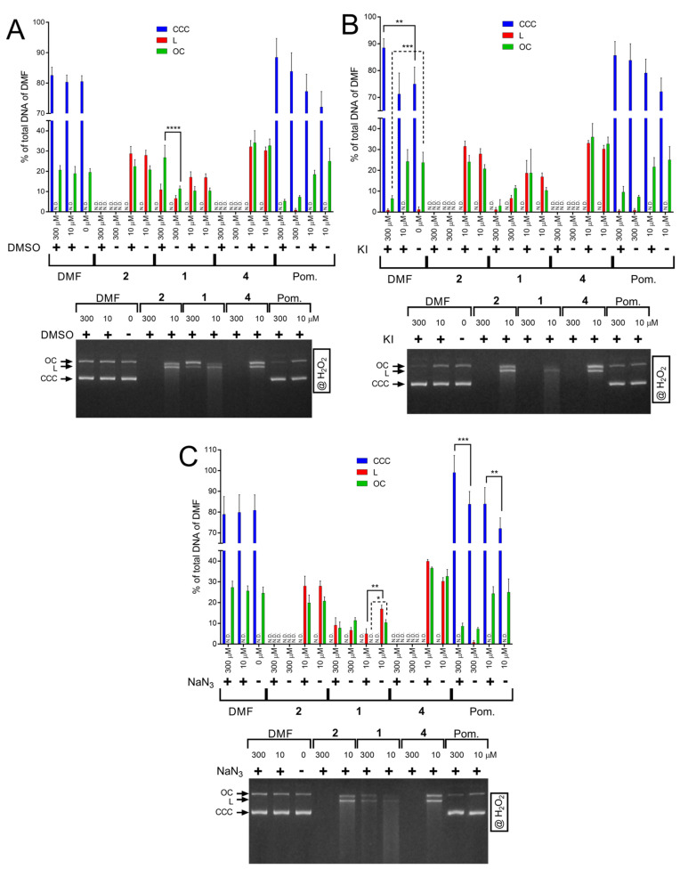 Figure 13