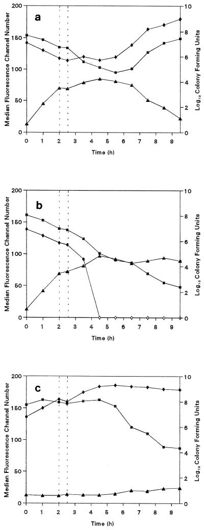 FIG. 1