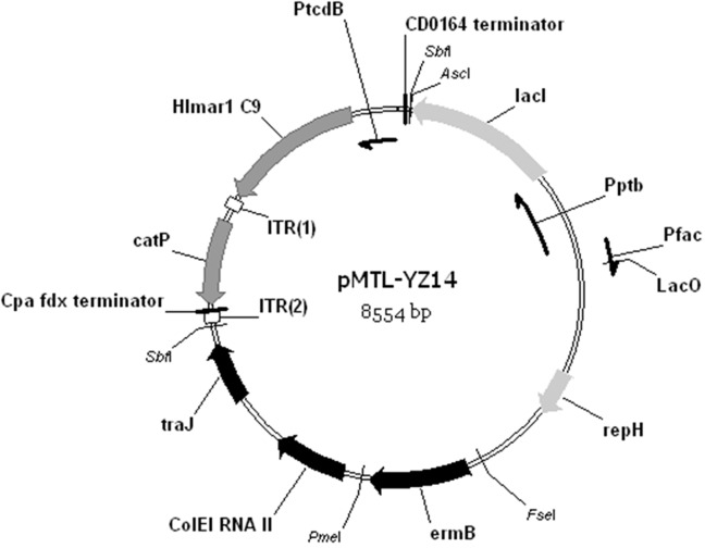 Fig 5