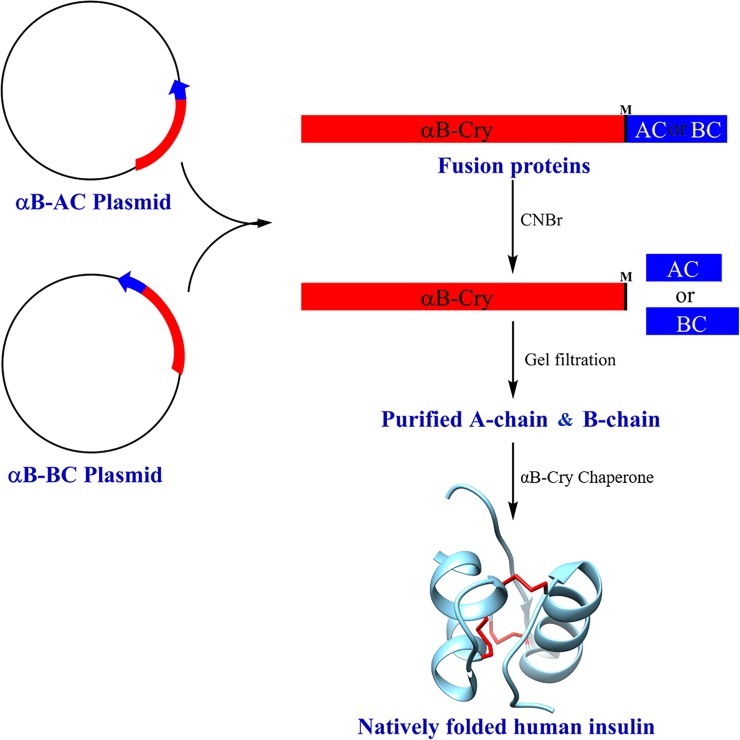 Fig 13