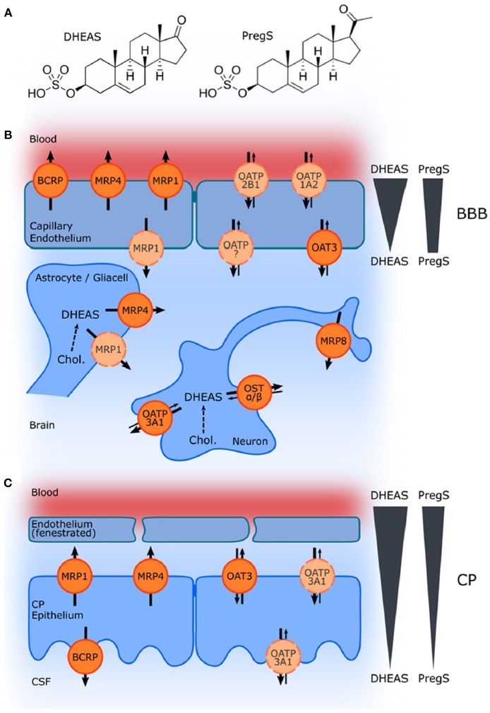 Figure 10