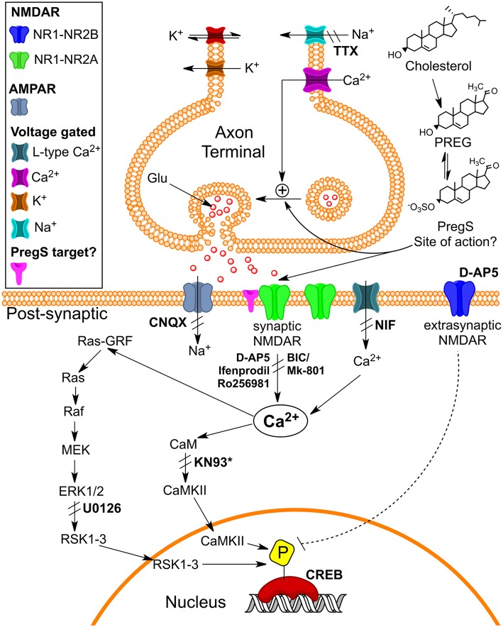 Figure 9