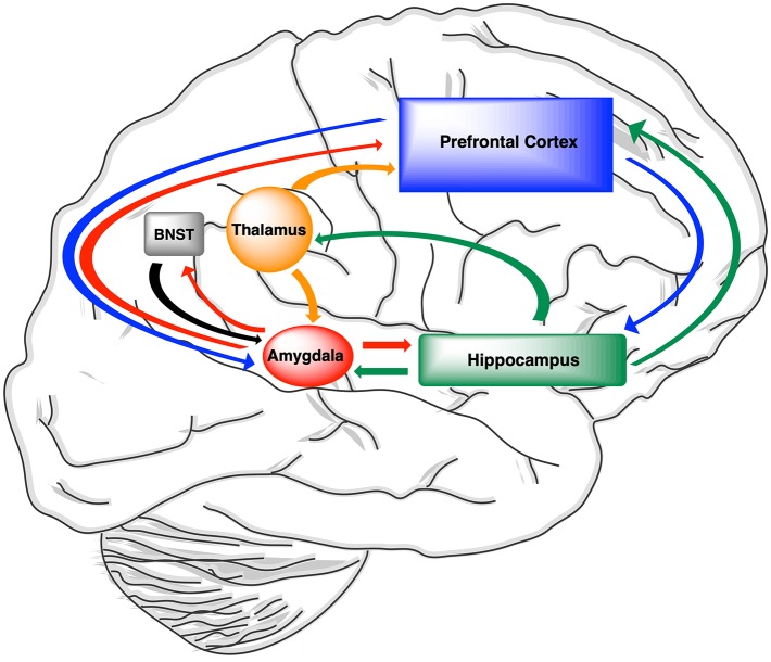 Figure 14