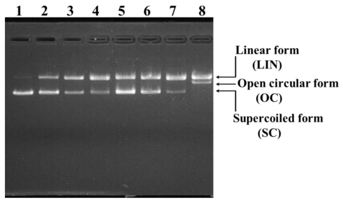 Figure 9