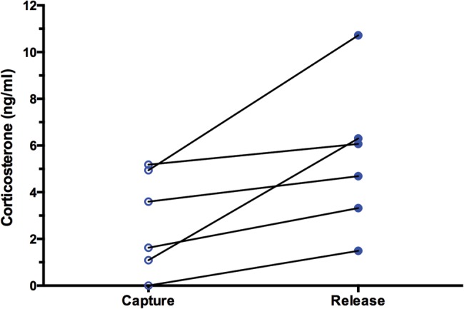 Figure 3: