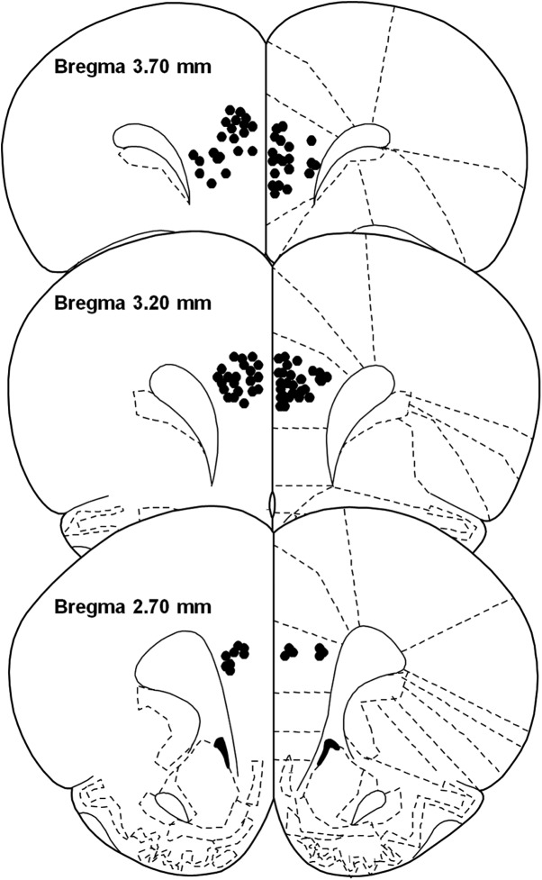 Figure 8.