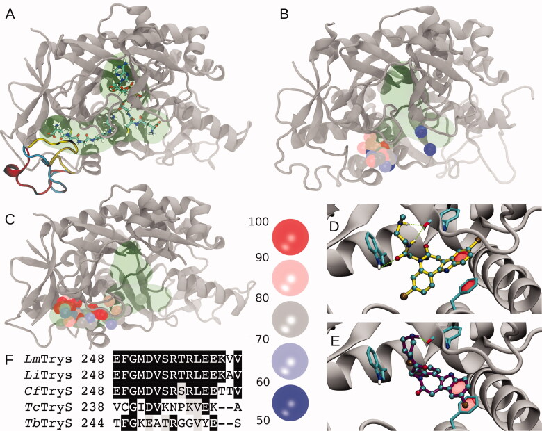 Figure 4.