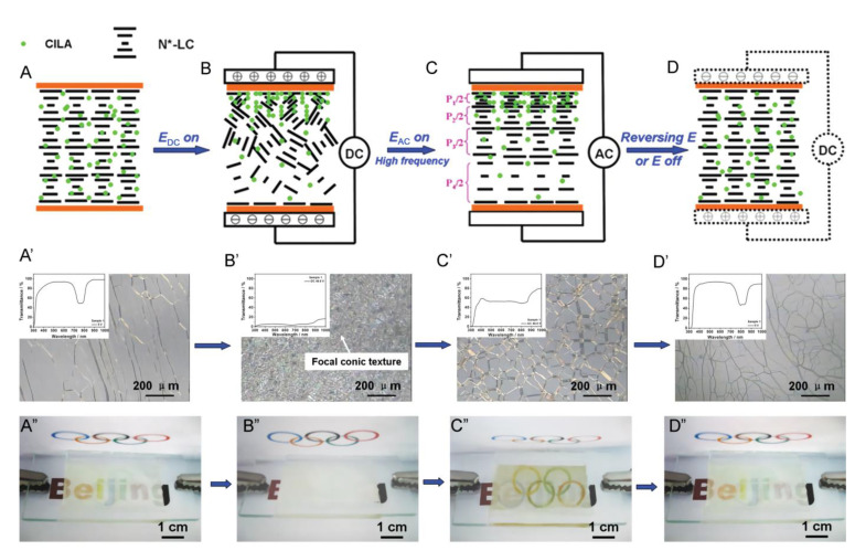 Figure 12