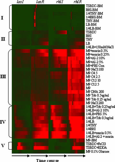 FIG. 2.