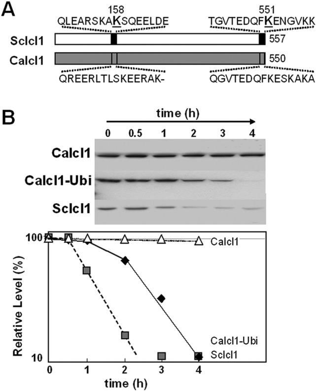 FIG 8 