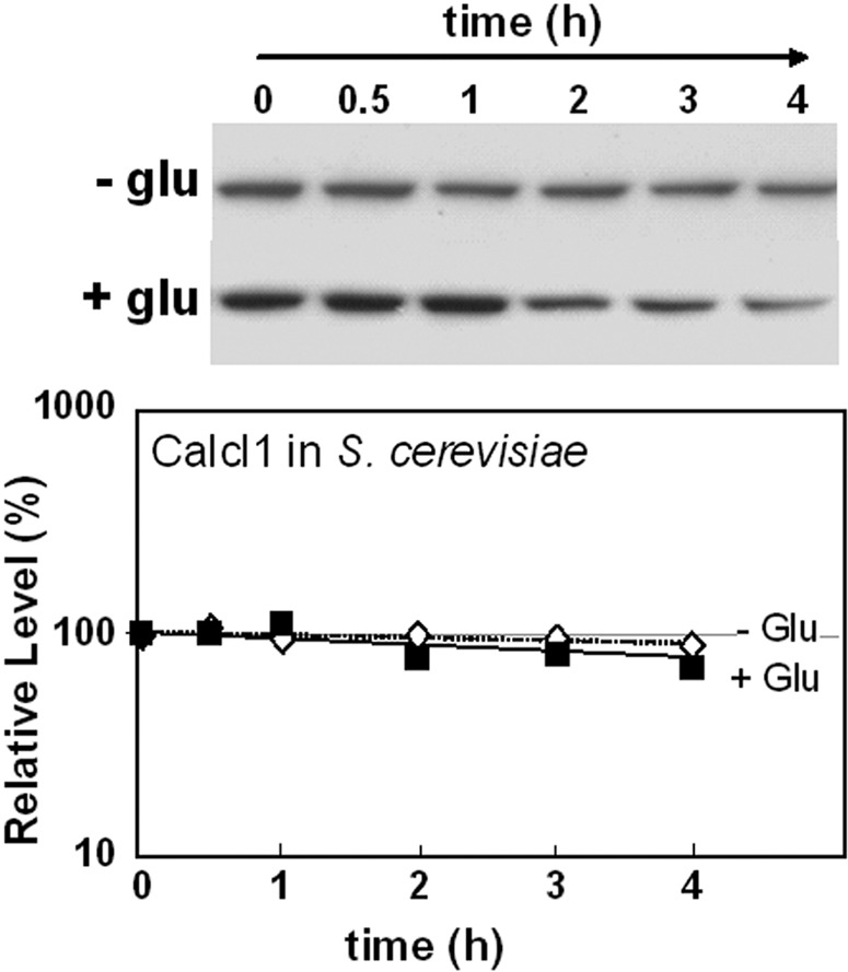 FIG 6 