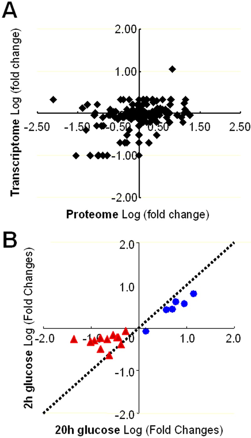 FIG 3 