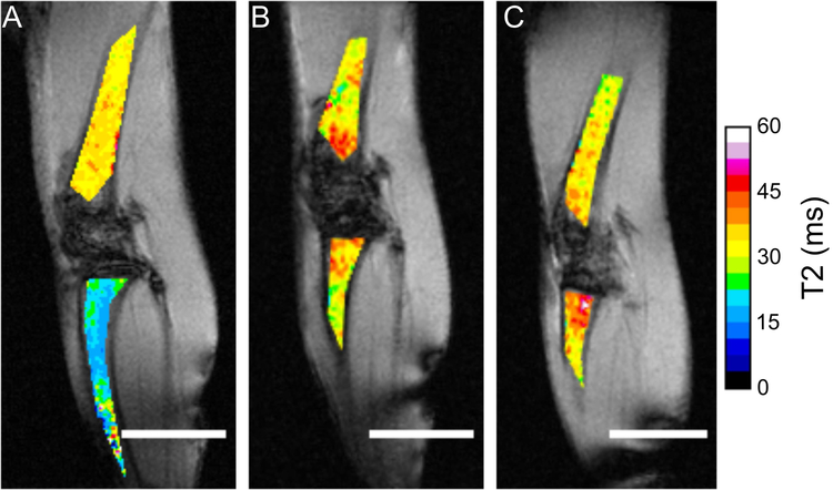 Figure 4: