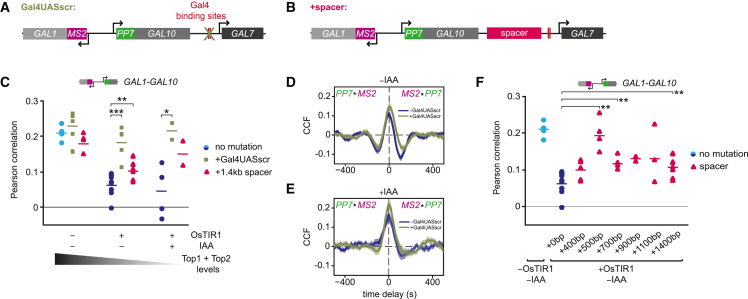 Figure 4