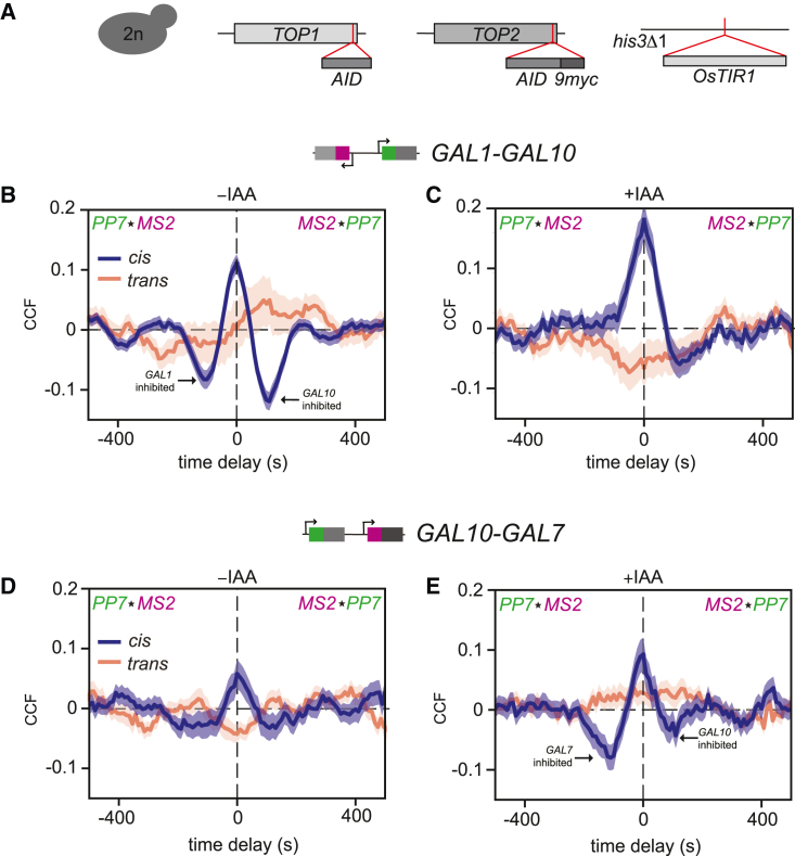 Figure 2