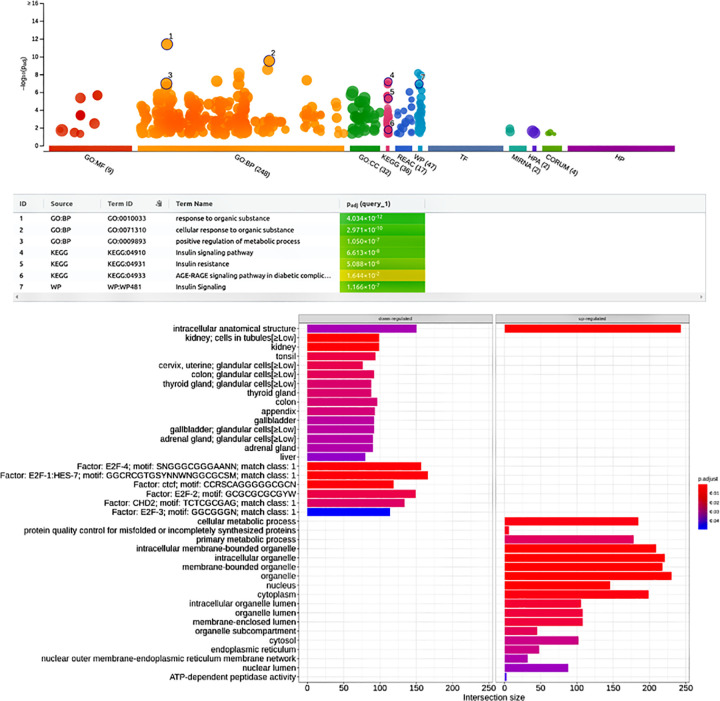 Improved meta-analysis pipeline ameliorates distinctive gene regulators ...