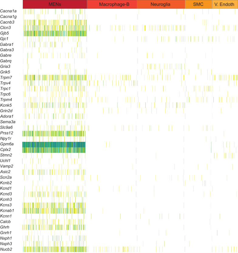 Figure 4—figure supplement 2.