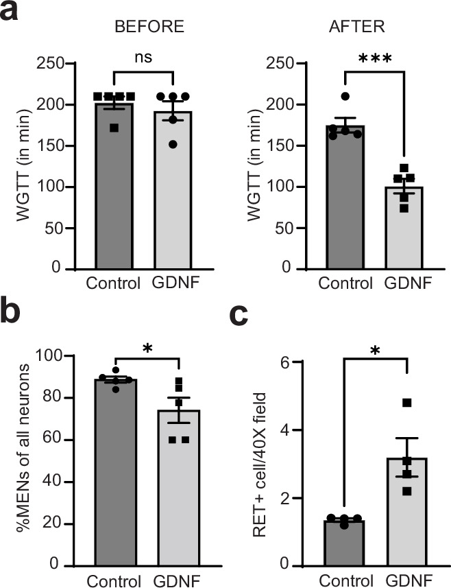 Figure 13.