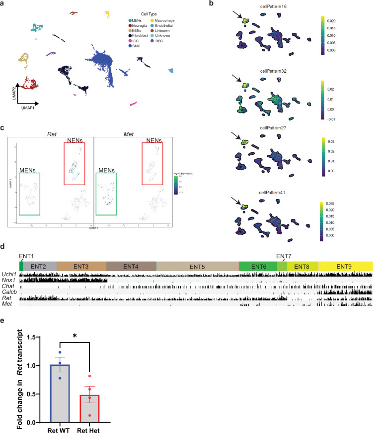 Figure 11—figure supplement 1.