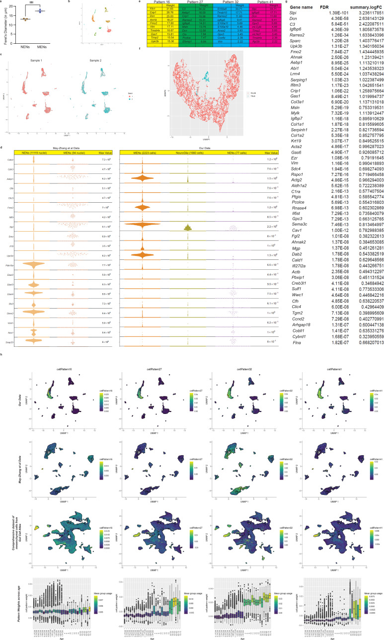 Figure 4—figure supplement 1.