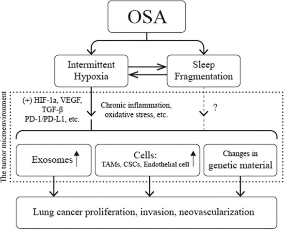 Figure 6