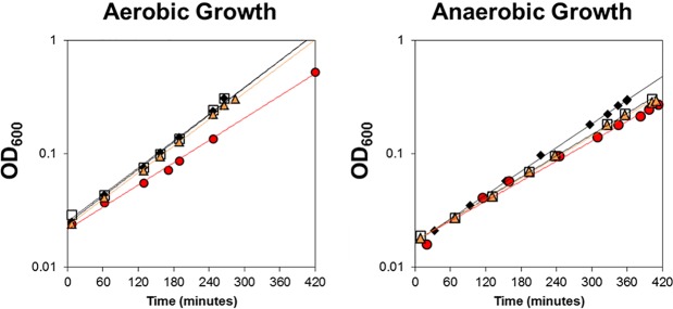 FIG 6 