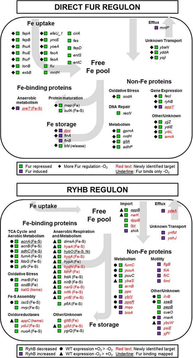 FIG 4 